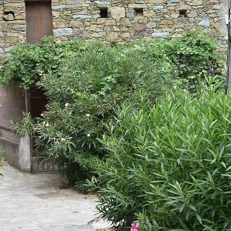 Maison De Village Avec Vue Sur Les Montagnes * Bigorno
