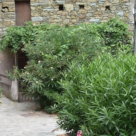 Maison De Village Avec Vue Sur Les Montagnes * Bigorno